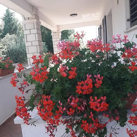 Apartament Angela *